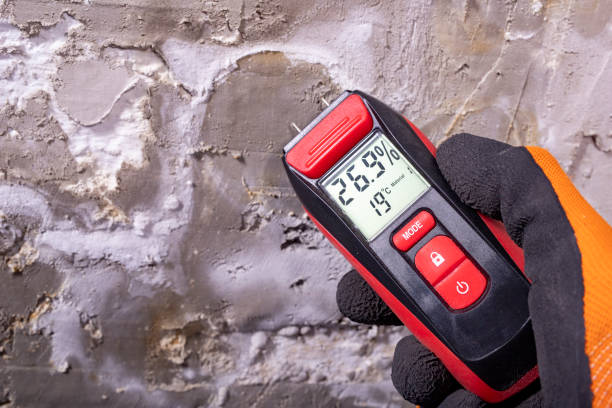 Best Crawl Space Mold Removal  in Cary, IL