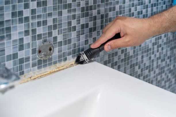 Best Home Mold Removal  in Cary, IL